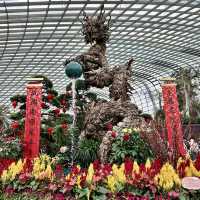 景點-新加坡🇸🇬三大植物園［濱海灣花園雲霧林、花穹、胡姬花園］