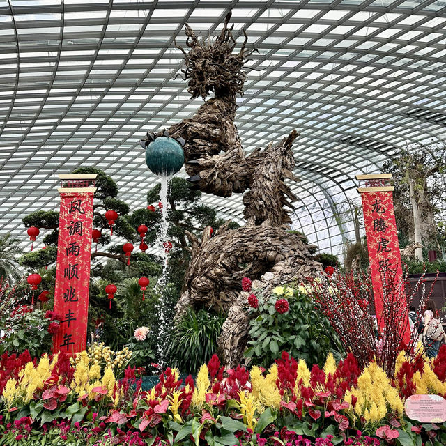 景點-新加坡🇸🇬三大植物園［濱海灣花園雲霧林、花穹、胡姬花園］