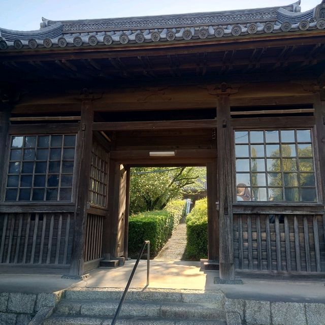 知多四国霊場！「観福寺」