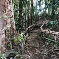 The Takenoko Park