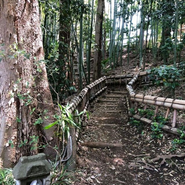 The Takenoko Park