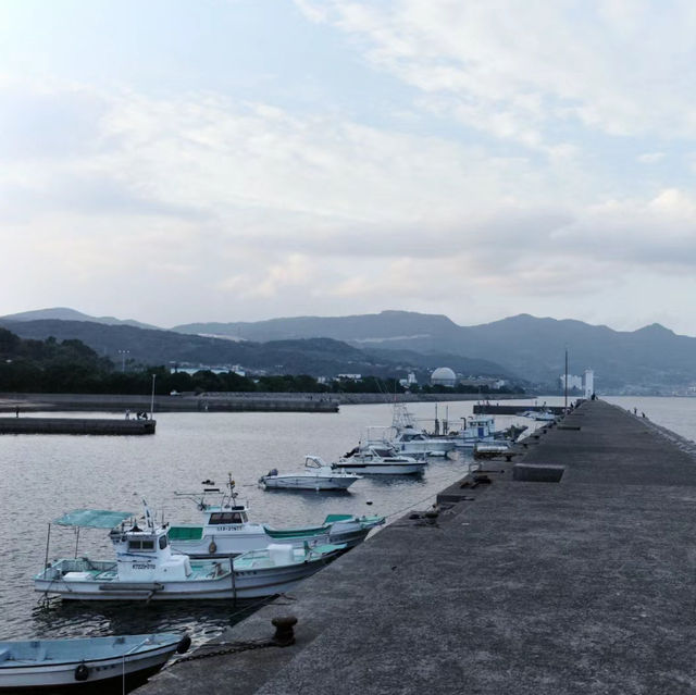 岡田漁港：海鮮美食之旅，物超所值