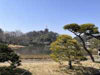 三渓園@横浜🌲