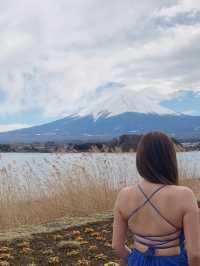 A trip to see Mount Fuji 🗻