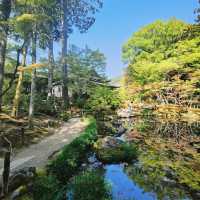 「寶泉院」古樸淡雅、禪意盎然