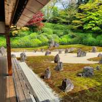 【2024春】龍台院：石頭、沙石、苔蘚打造的禪意枯山水庭園，適合春天遊玩