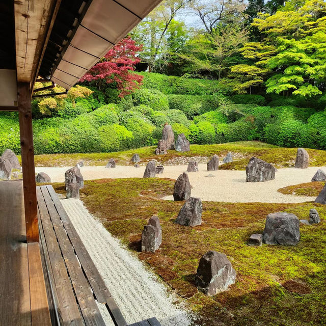 【2024春】龍台院：石頭、沙石、苔蘚打造的禪意枯山水庭園，適合春天遊玩