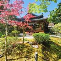 「寶泉院」古樸淡雅、禪意盎然