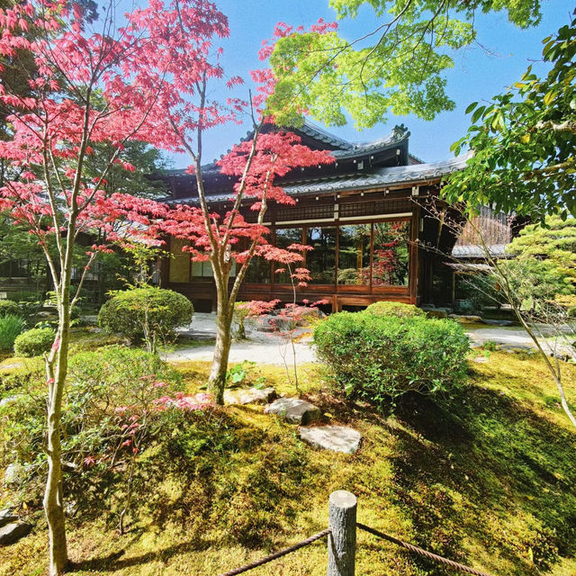 「寶泉院」古樸淡雅、禪意盎然