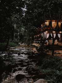บ้านเล็กในป่าใหญ่ ….. บ้านธารชีวี