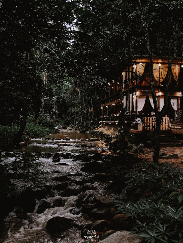 บ้านเล็กในป่าใหญ่ ….. บ้านธารชีวี