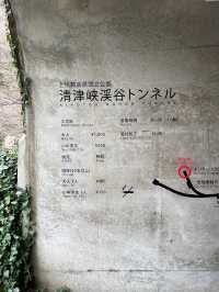 【新潟】SNSでも大人気！幻想的な空間のトンネル