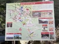 日本初の新婚旅行の地⛩️