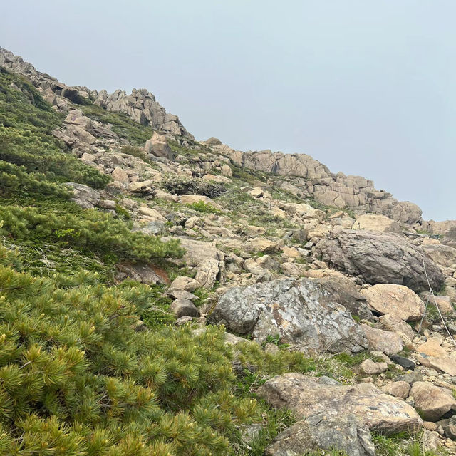皿倉山～壯麗山景～此生難忘