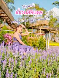จุดเช็คอินวิวสุดปัง Sky Walk เขื่อนสิรินธร