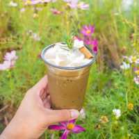 😝 Lamer Homecraft cafe คาเฟ่บรรยากาศทุ่งนา