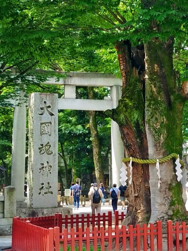 祈福參拜「大國魂神社」欣賞精緻木雕建築藝術