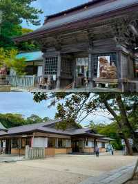 海に浮かぶ鳥居が神々しい⛩✨絶景パワースポット大洗磯前神社🫣💎💞【茨城】