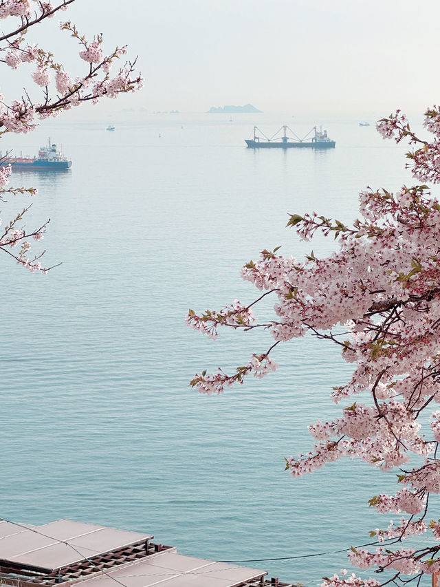【釜山影島一日遊】白淺灘文化村 烤貝街 🌊