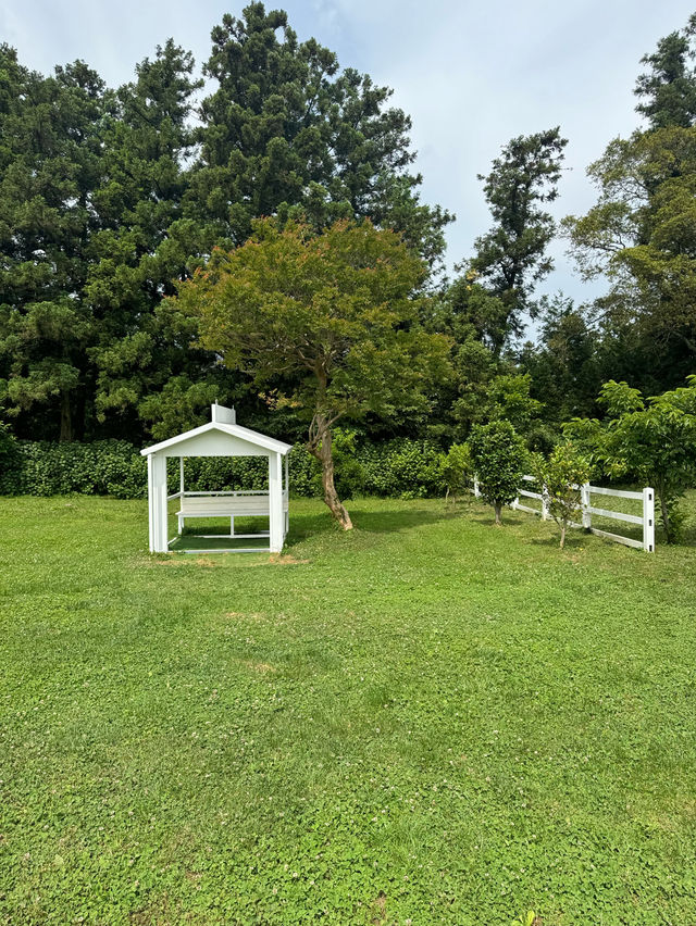 귀여운 젖소들을 아주 가까이에서 볼 수 있는 이색 목장 ✨