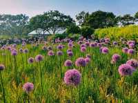 Korea Expressway Corporation Arboretum (Jeonju Arboretum )