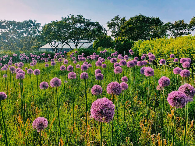 Korea Expressway Corporation Arboretum (Jeonju Arboretum )