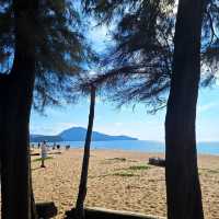 จุดชมเครื่องบินสุดฮิต “หาดไม้ขาว”✈️