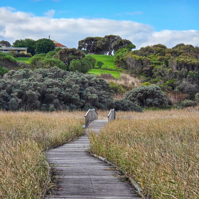 Princetown Wetlands Boardwalk