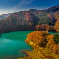 Experience the Timeless Beauty of Akita