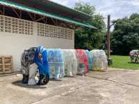 Elephant Parade Land เชียงใหม่