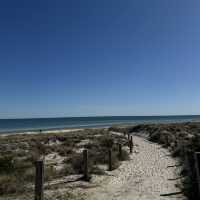 Walk from Glenelg to Grange Beach 🏝️