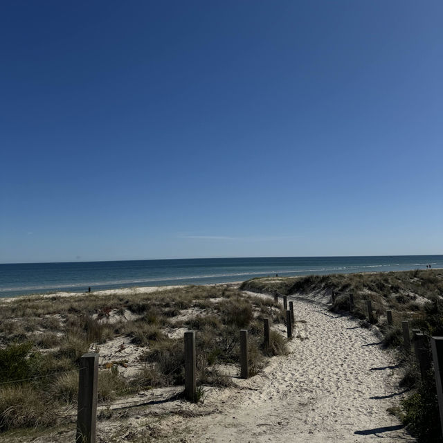 Walk from Glenelg to Grange Beach 🏝️