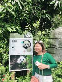 A must in Chengdu!  Chengdu main’s attractions! 🐼 Giant Panda Base 