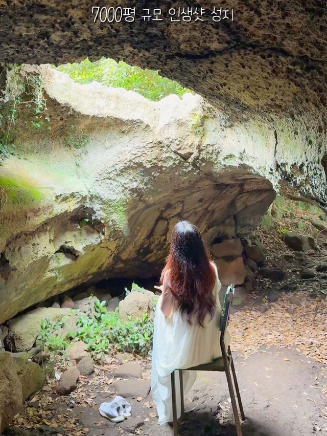 제주도 꽃구경 인생샷 성지는 바로 여기랍니당 ✨