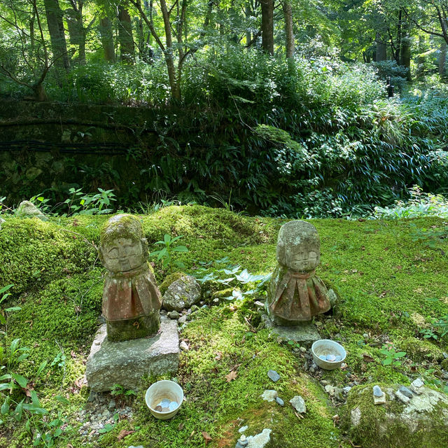 京都三千院 ⛩️🍵 寧靜緻雅的好去處 ✨