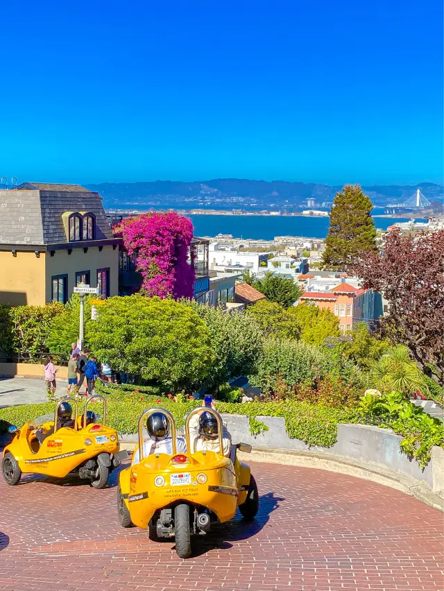 舊金山必遊自駕路線！