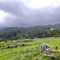 Malaysia Kundasang