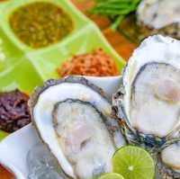  Zaap Sea Chumphon 