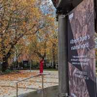 Dive into a world of contemporary and historical art at The Whitworth