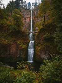 Finally Saw the Multnomah Falls
