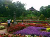 ชมสวนแม่ฟ้าหลวง ดอยตุง