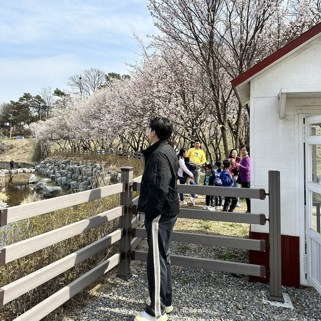 예쁜 꽃과 호수가 인상깊었던 이천 설봉공원🏞️