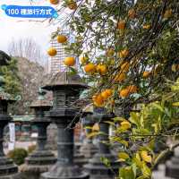 日本東京-大人小孩都喜歡的動物明星：上野動物園