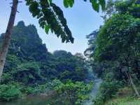 📍Our Jungle House จ.สุราฎร์ธานี