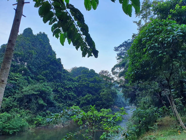 📍Our Jungle House จ.สุราฎร์ธานี