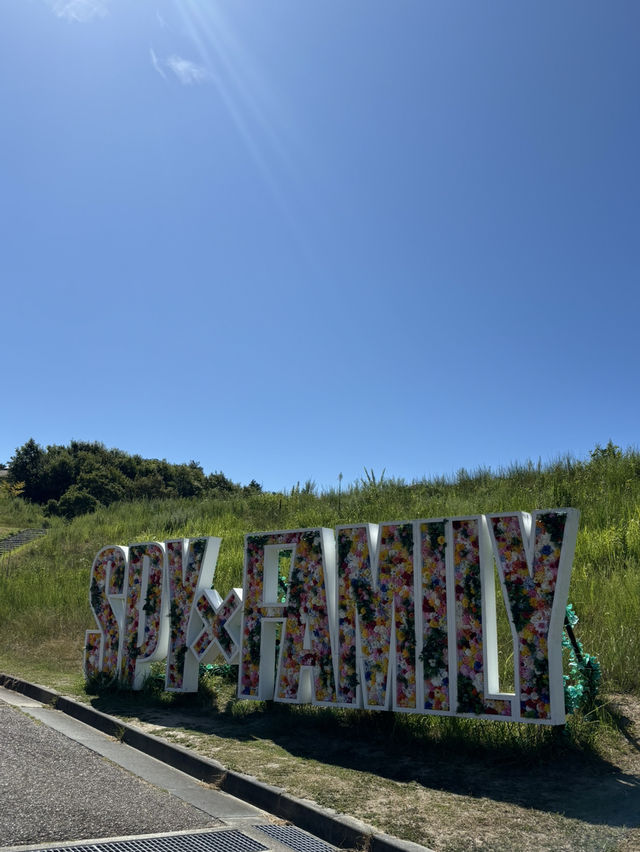 淡路島　ニジゲンノモリSPY×FAMILYのフォトスポットエリア！