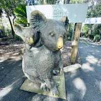 Magic Moments at Lone Pine Koala Sanctuary 🇦🇺