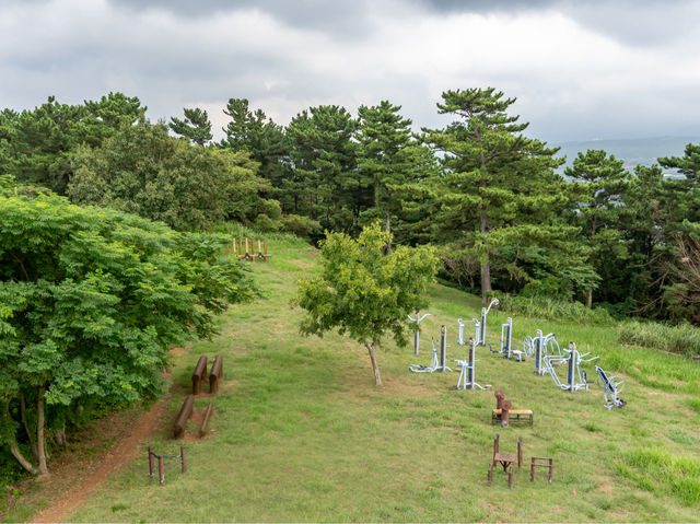 제주시 한라수목원 근처 민오름 정상...