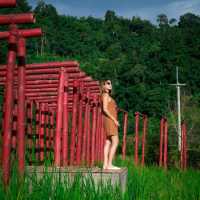 ที่พักบนแม่แตง วิวทิวเขา และสายหมอก