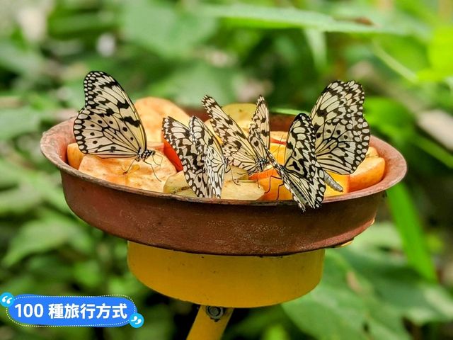台北-大人小孩都喜歡的最佳親子景點：台北市立動物園